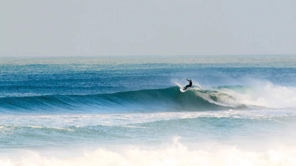 Skindog Peacemaker logo with white text on a black background.